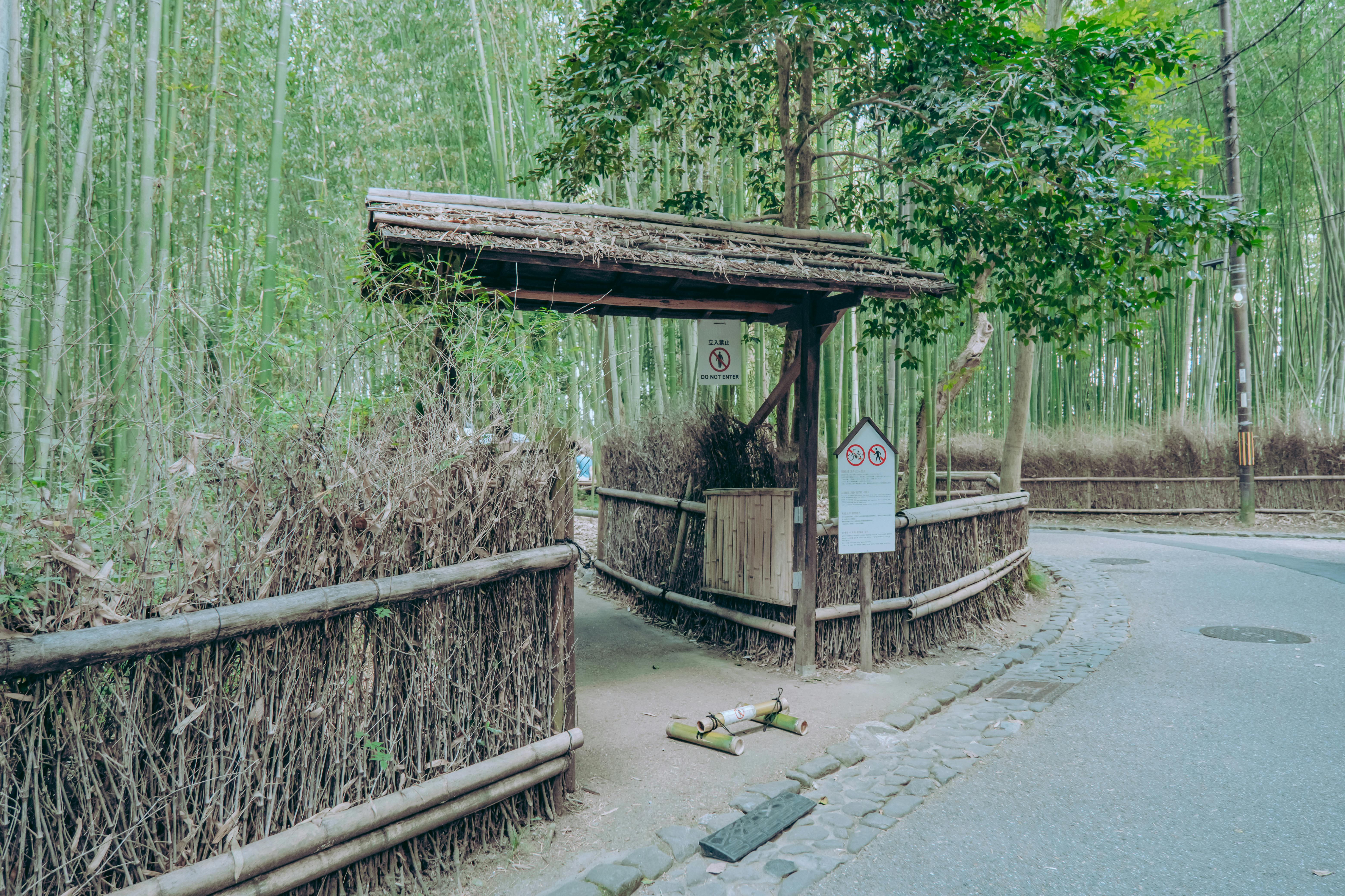 Arashiyama à Kyoto : la forêt de bambous magique du Japon