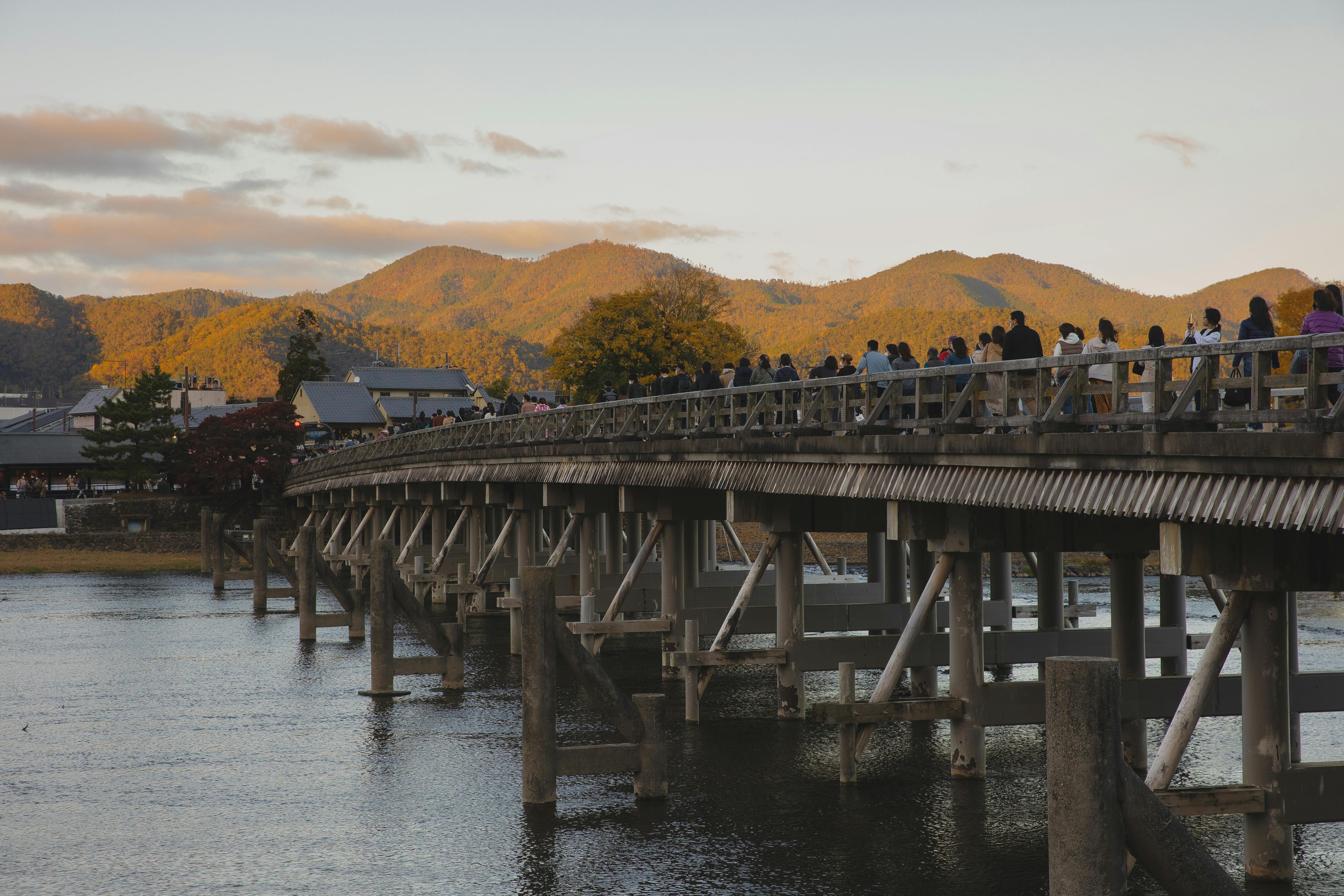 Arashiyama à Kyoto : la forêt de bambous magique du Japon