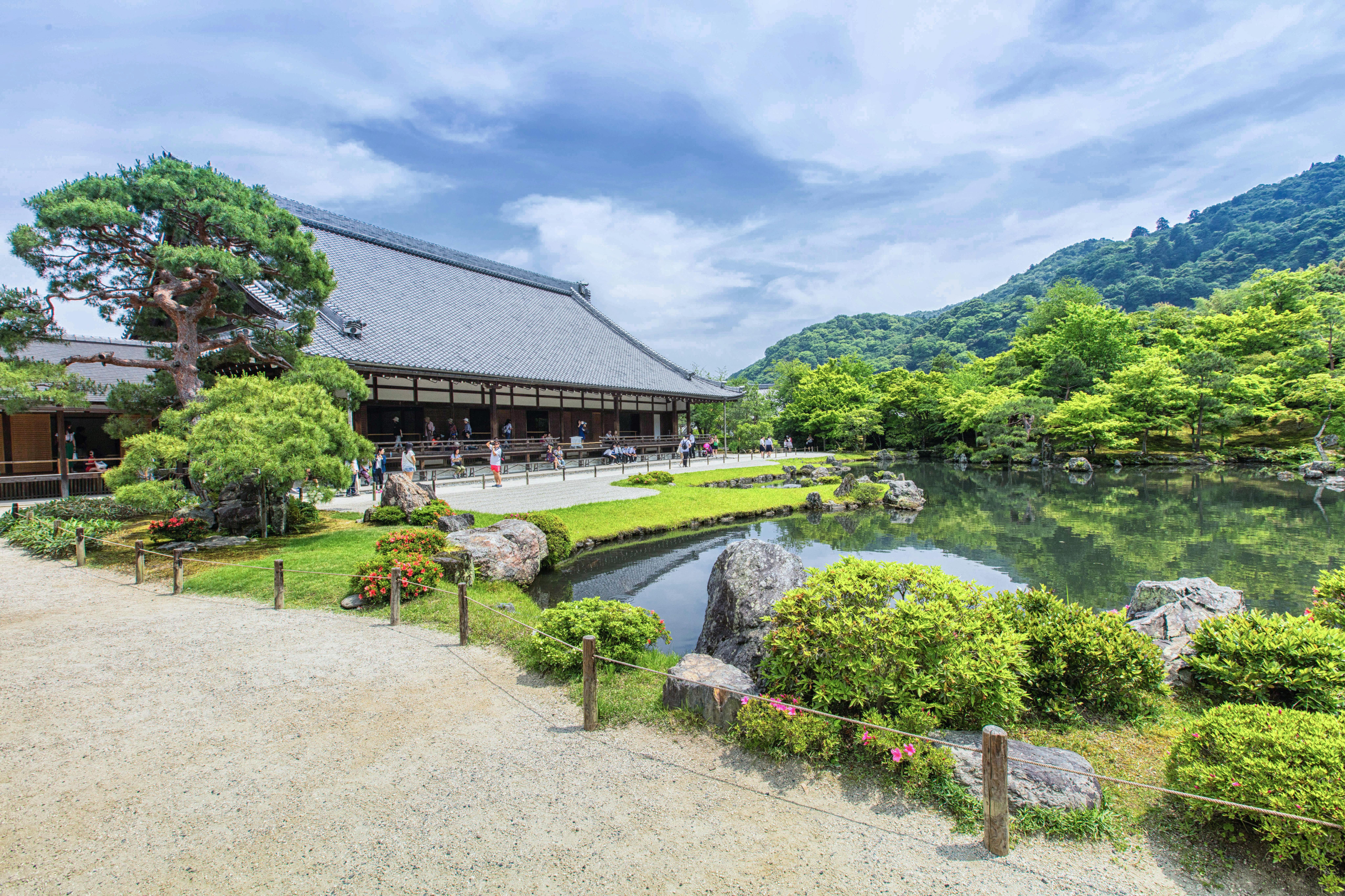 Arashiyama à Kyoto : la forêt de bambous magique du Japon