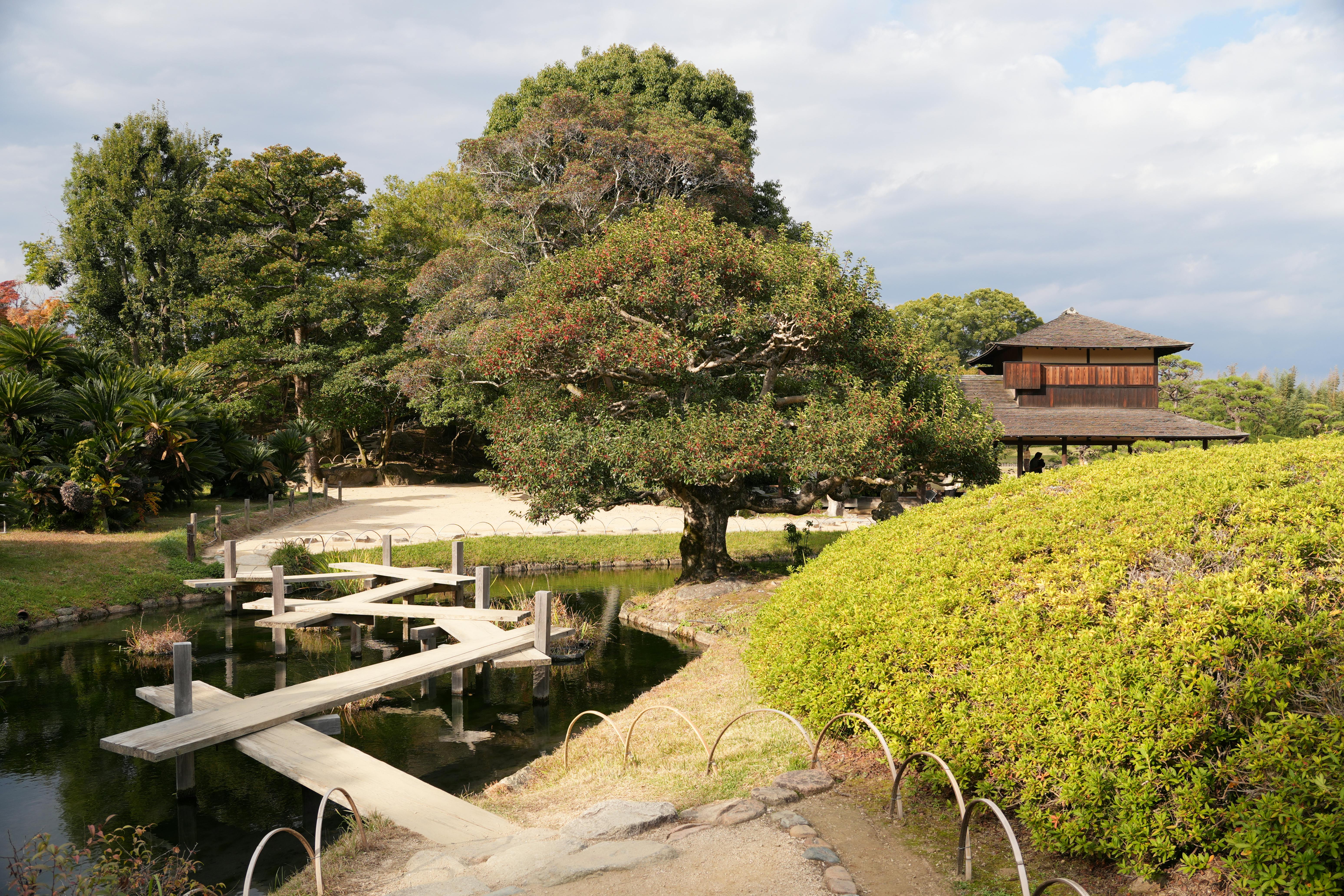 Arashiyama à Kyoto : la forêt de bambous magique du Japon