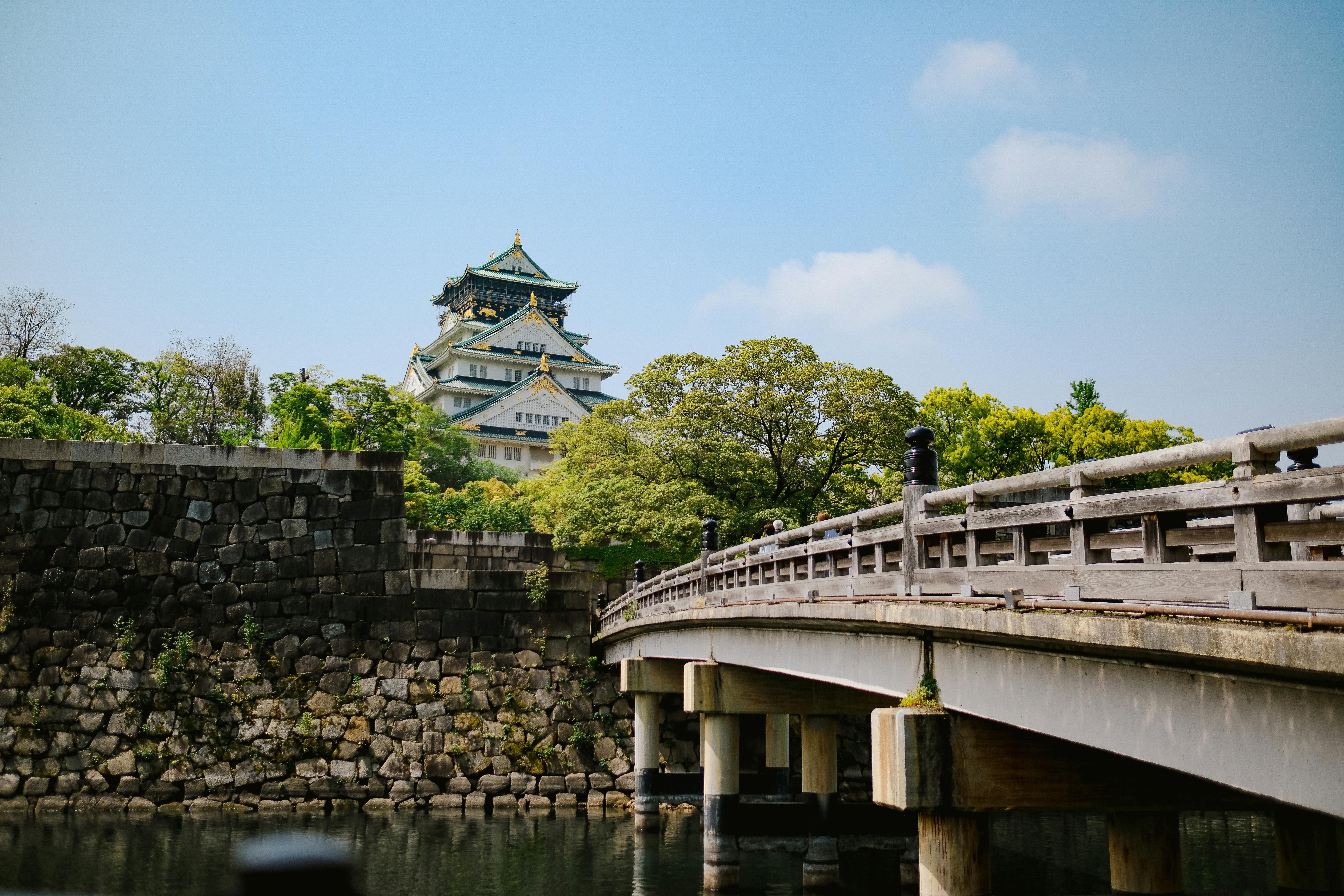 Le marché que les Japonais fréquentent avant même le lever du soleil