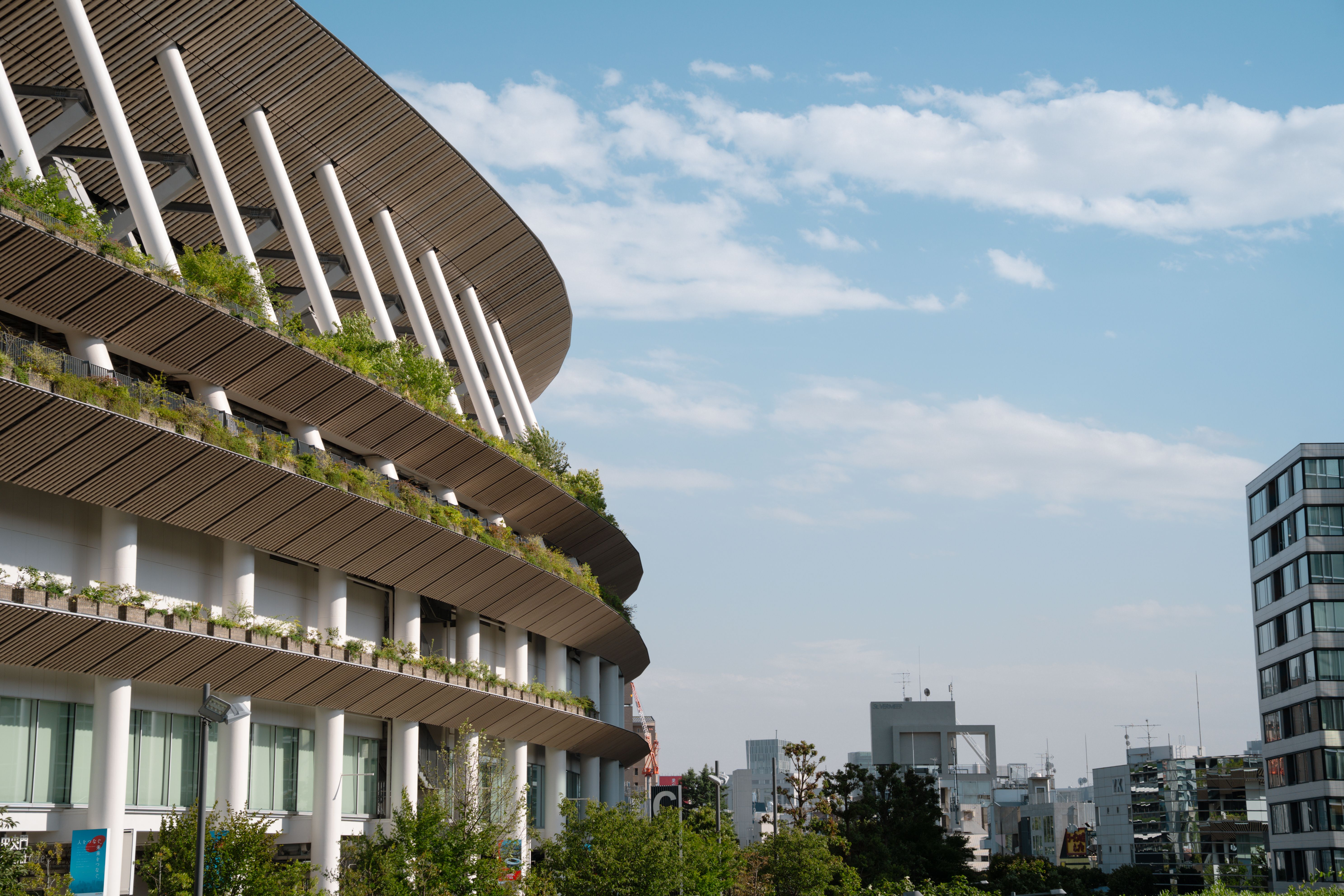 Le café oublié de Tokyo : l'adresse confidentielle que le quartier de Nezu protège depuis 50 ans